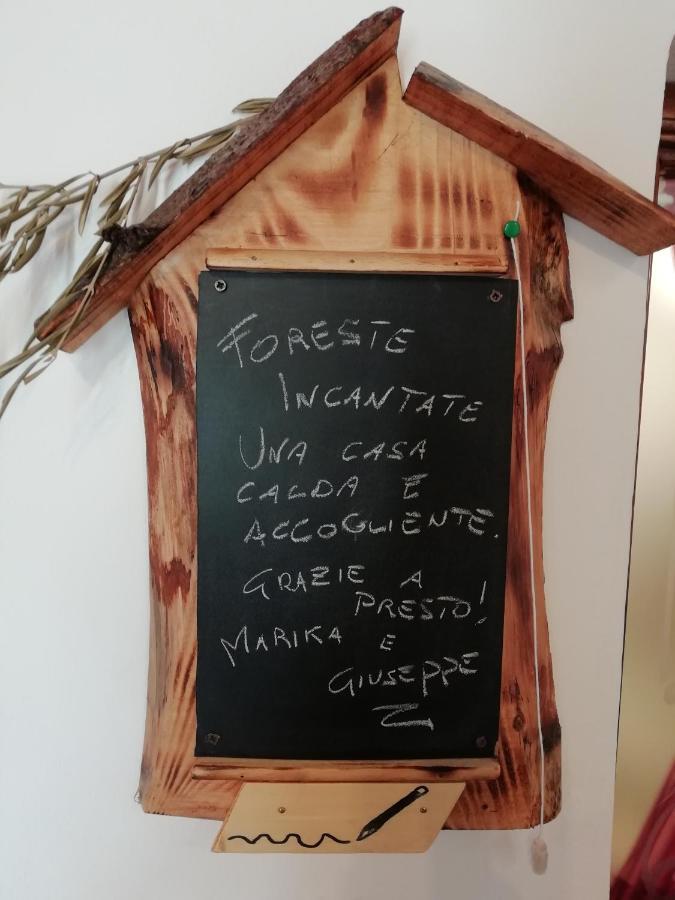 La Casina Daire Stia Dış mekan fotoğraf